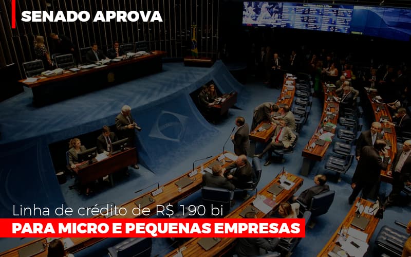 Senado Aprova Linha De Crédito De R$190 Bi Para Micro E Pequenas Empresas - Temaví