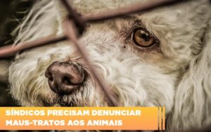 Recomendado só para você